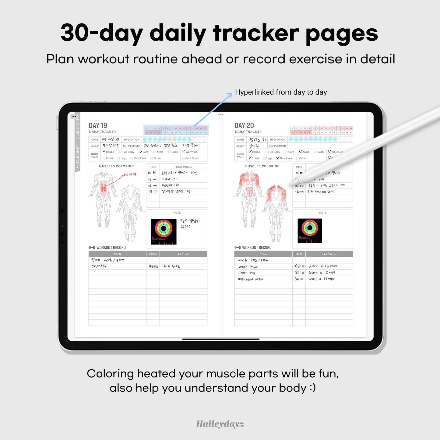 30Days Workout Logbook - Haileydayz